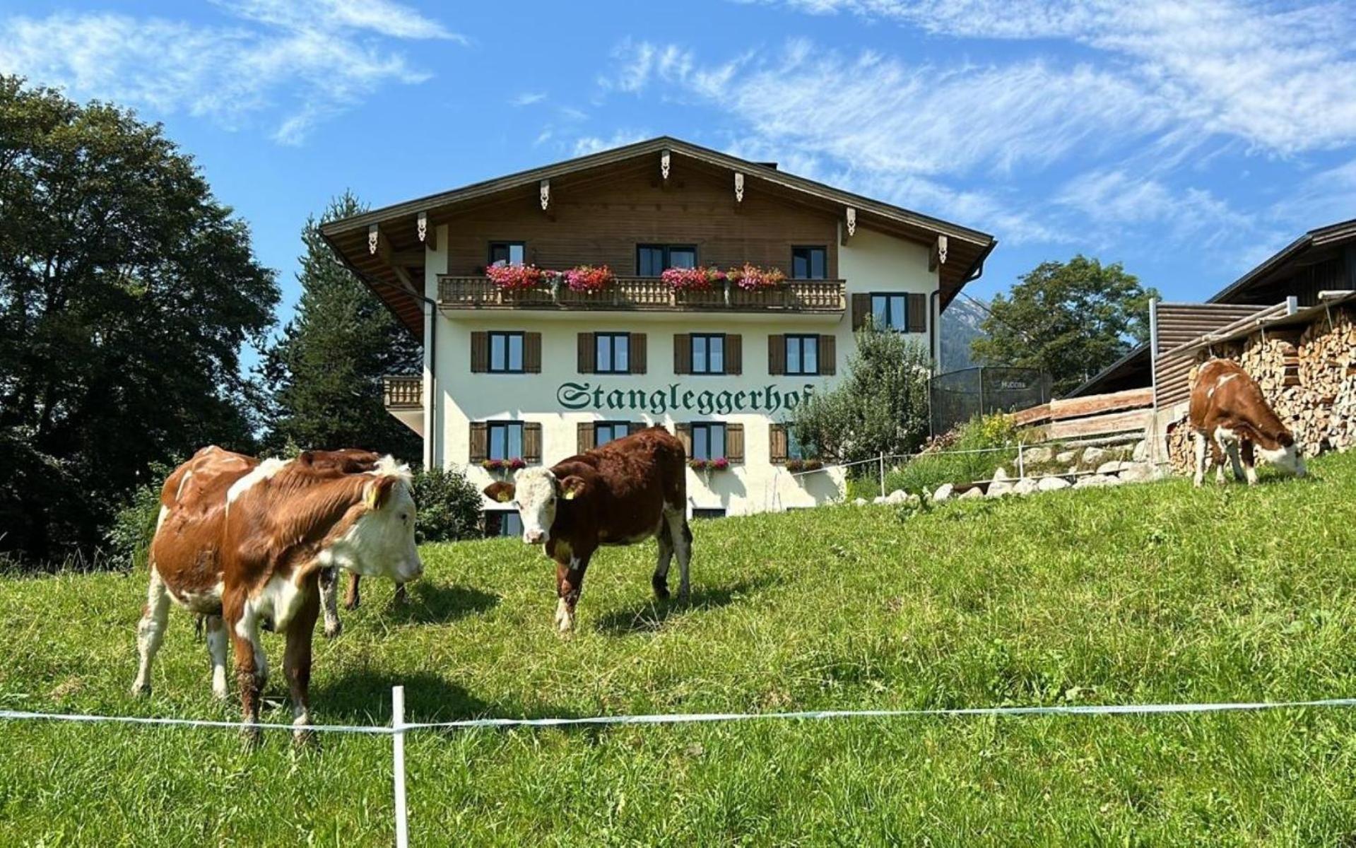 Stangleggerhof Villa Wiesing Dış mekan fotoğraf